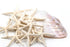 creamy white finger starfish pack 10
